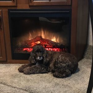 Meet your Posher, Donna